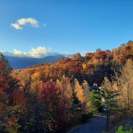 3 Decks, Mtn Views! Tree Tops By Honeybearcabins - Luxury Rain Showers, 3 King Suites, Xl Hottub, Fireplace, Bear Sightings 개틀린버그 외부 사진