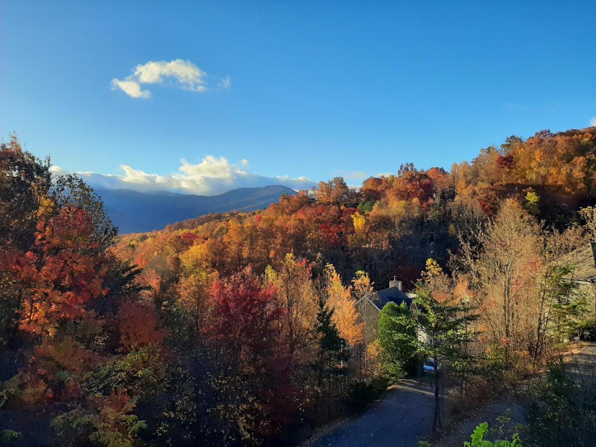 3 Decks, Mtn Views! Tree Tops By Honeybearcabins - Luxury Rain Showers, 3 King Suites, Xl Hottub, Fireplace, Bear Sightings 개틀린버그 외부 사진